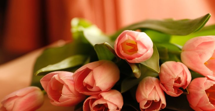 Hurtownia kwiatów - serce handlu florystycznego